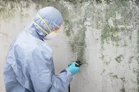 Best Emergency Mold Remediation  in Pinebluff, NC